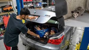 Find the exact battery you need. Bmw E60 M5 Battery Drain E64 650i New Shop Pet Youtube