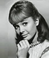 The Cool Ones (1967)