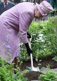 The Queen Mother Exercises Her Green Thumb Queen Elizabeth Elizabeth Ii Queen Elizabeth Ii