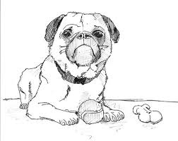 You must decide before you start your outline whether you going to draw a portrait of just the dog with no background, include the background, and if you include the background, whether or not you want to change it.if you decide to keep or change the background then when you draw the outline of the dog also draw a basic outline for the background. How To Draw A Dog