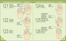 Cupping Points Chart Pdf Awesome Sujok Therapy Points For