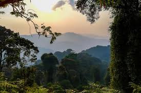 Ihema is the largest of a string of lakes in the eastern plains of akagera national park. Rwanda Holiday Tours Tailor Made Travel In Rwanda Travellocal