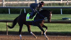 Kendrick carmouche looks to become the first black jockey to win in over a century. 3oxcmhwxp Pjcm