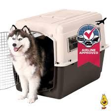 Check spelling or type a new query. Need Iata Airline Approved Pet Carriers Check Here First