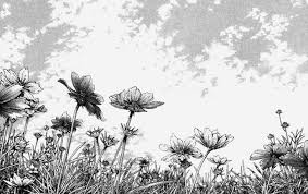 Aesthetic Manga Background Black And White Inoue Takehiko Aesthetic Anime Scenery Manga Art