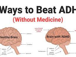 Once you find the hornet, see if you can find the hippocampus. 8 Ways To Beat Adhd Without Medicine