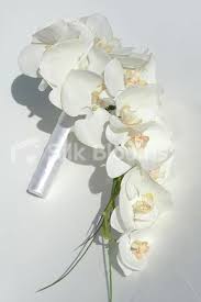 16 impressive orchid wedding bouquets martha stewart weddings. Total White Wedding Cerca Con Google Orchid Bouquet Wedding Bridal Bouquet White Orchid Bouquet
