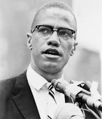 My alma mater was books, a good library…. I could spend the rest of my life  reading, just satisfying my curiosity.” ~Malcolm X (African American Muslim  minister and human rights activist)