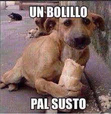 See a recent post on tumblr from @dankmemeuniversity about memes. Perro Temblor Revista Memes Veracruz Facebook