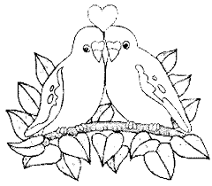 Sure, we keep them as pets. Love Bird Coloring Pages Murderthestout Coloring Pages