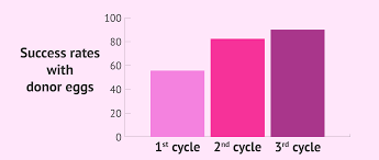 Cumulative Success Rates Per Donor Egg Cycle