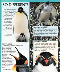 Birds That Look Like Penguins But Can Fly Penguin Facts Penguin Place Penguin Jungles Predator