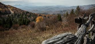 The gate to the park is opened only from 8 a.m. General Information