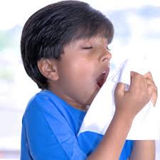 American Renaissance School