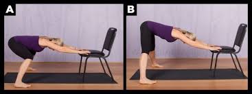 Top Chair Yoga Poses For Seniors Chair Pose Yoga Chair Yoga Downward Dog Yoga