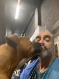 rest easy Basil. You were loved by so many and have been my best friend for  the last 13 years. I'm a mess right now but i know you are in a