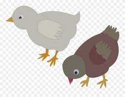 Pastinya kita semua sudah tahu kan apa itu ayam? Transparent Chicken Clipart Gambar Animasi Ayam Makan Png Download 5287055 Pinclipart