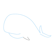 Wal Zeichnen Lernen Schritt Fur Schritt Tutorial Zeichnen Leicht Gemacht