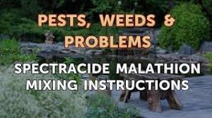 Spectracide Malathion Mixing Instructions Youtube