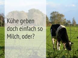 Mama Muh Und Die Milch Milch Gesund Vegetarische Rezepte Milch