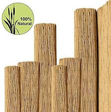 Sol Royal Sichtschutz Schilfrohr Premium 100x600cm Hxb Solvision S36 Schilfmatte Fur Balkon Oder Windschutz Blickschu Brise Vue Pour Balcon Canisse Brise Vue