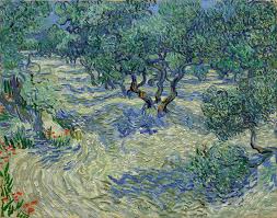 Olive Orchard By Vincent Van Gogh Poster Zazzle Com Gogh Van Gogh Google Art Project