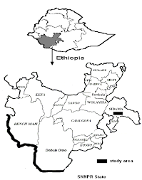 Snnpr borders kenya and the sudan on the south and the oromia and. Location Of Study Area In Sidama Snnpr State Ethiopia Snnpr Bofed Download Scientific Diagram