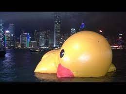 Giant Hong Kong Duck Deflates Youtube