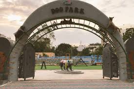 Check spelling or type a new query. Attention Pet Parents Hyderabad Is Now Home To India S First Ever Dog Park The News Minute