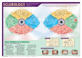 Sclerology Left Chart Free Iridology Chart Health
