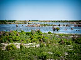 Op het eerste eiland is een wandelroute aangelegd, er kan gekozen worden uit lengtes van 2.5 tot 6 kilometer. Marker Wadden Mooiste Wandelingen
