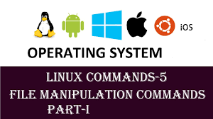 Execute Shell Script To Find If File Exists | Bash Shell Scripting |  Practical 12 - Youtube