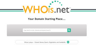 How To Find Out Who Owns A Domain Everything You Need To Know
