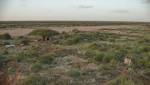 Somali forces kill boys anti-Shabaab