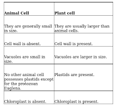 Difference between plant cell and animal cell for class 9 ncert. Https Betrained In Cbse 8 Science Cell Structure And Functions Solution