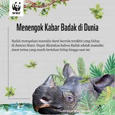 Haiwan yang hidup di darat sahaja. Wwf Indonesia Tahukah Sobat Badak Merupakan Facebook