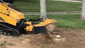 This will give you the total length in inches from the trunk that you can cut these exposed roots above the ground. Stump Grinding The Superior Method For Tree Stump Removal