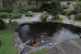 Keeping in the trade and many people go all all on designs and aquascapes and there are many professional koi pond installations that go well over $15,000 all. Get The Best Koi Fish Pond Tips Top Picks And Koi Feeder Tips