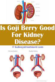 Pin On Kidney Disease
