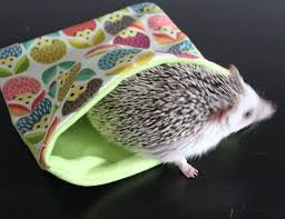 Hedgehog Pattern Snuggle Sack Snuggle Pouch Sleeping Bag Small Animal Bedding Fleece Lined Lime Green Hedge Small Animal Bedding Hedgehog Print Small Pets