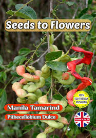 Image result for Pithecellobium dulce