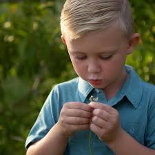 Autumn Ranae Art & Design Studio