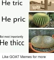 He Tric He Pric But Most Importantly He Thicc Like Goat Memes For More Meme On Me Me