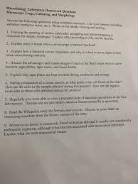 Fill in the missing words and word combinations: Solved Lab Hw Need All Answers Has Answer 5 Figured Out N Chegg Com