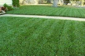 Pin On Gardening