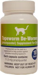 Symptoms your cat may display that she has worms are vomiting, loss of appetite and diarrhea. Boss Pet Tapeworm De Wormer Cat Supplement 10 Count Pets Plus Natural