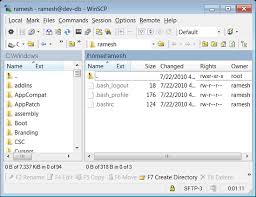 I use the ssh client from gitbash for windows, running inside of conemu. Top 7 Free Sftp Or Scp Clients For Windows Transfer Files To Linux