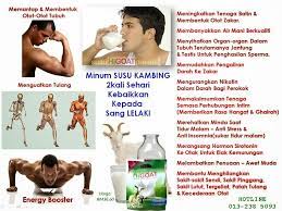 Minuman susu yang paling digemari oleh nabi muhammad saw ialah susu kambing. Khasiat Susu Kambing Higoat Malaysia