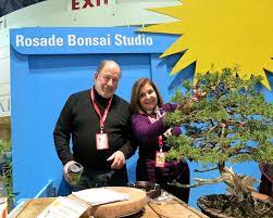 Many bonsai growers in the world have been intrigued and fascinated by. Rosade Bonsai Facebook