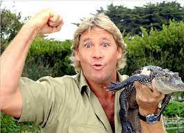 Known by millions around the world for his catchphrase crikey! and apparent lack of fear, he died doing what he loved most, even if it meant. Steve Irwin Wildlife Master Is Killed By A Stingray At 44 The New York Times